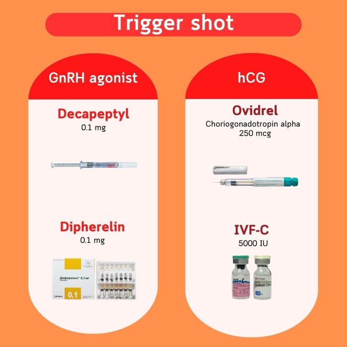 حقن التفجير — منبهات GnRH (Decapeptyl، Diphereline) و hCG (Ovidrel، IVF-C)
